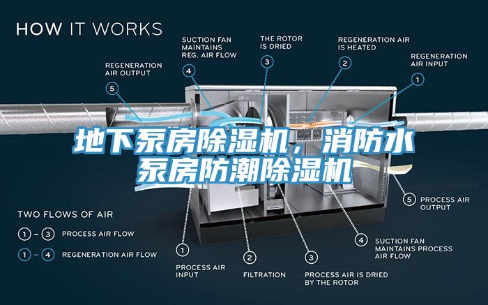 地下泵房除濕機，消防水泵房防潮除濕機
