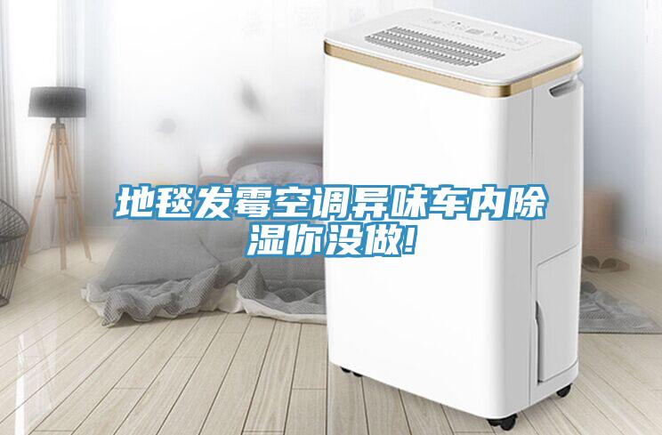 地毯發霉空調異味車內除濕你沒做!