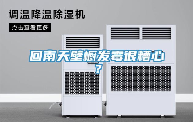 回南天壁櫥發霉很糟心？