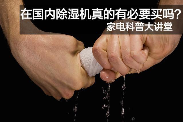 孵化和養雞場的理想溫度和濕度的最佳衡量標準